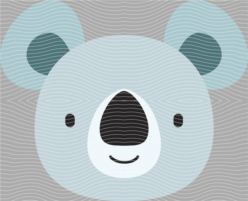 Cool Bear-X 341